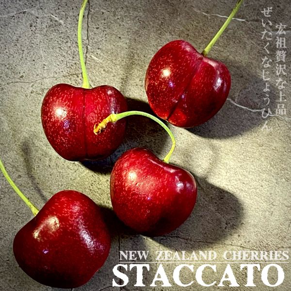 空運櫻桃-STACCATO32+ 空運櫻桃-STACCATO32+