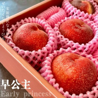 早公主拉鏈桃｜最好吃的美桃｜侍果師認證 早公主拉鏈桃｜最好吃的美桃｜侍果師認證