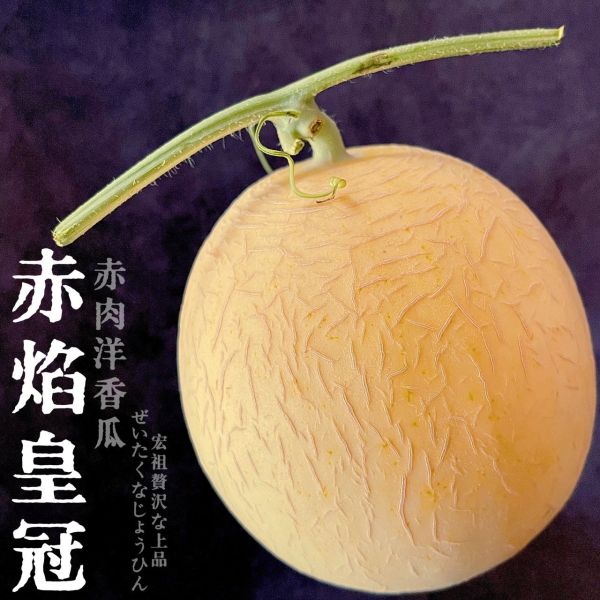 台灣契作｜赤焰皇冠 