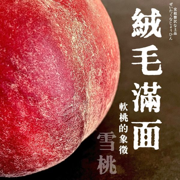 Snow Peach｜夢幻雪桃｜美國軟桃代表作 Snow Peach｜夢幻雪桃｜美國軟桃代表作