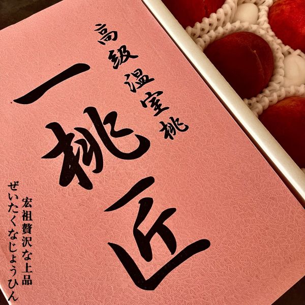 山梨八代｜一桃匠｜日川白鳳桃 山梨八代｜一桃匠｜日川白鳳桃