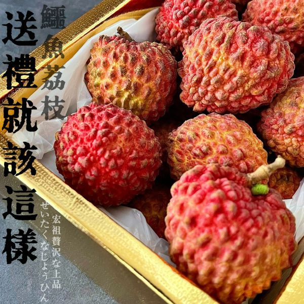 鱷魚荔枝｜此生必吃｜史上最大 鱷魚荔枝｜此生必吃｜史上最大