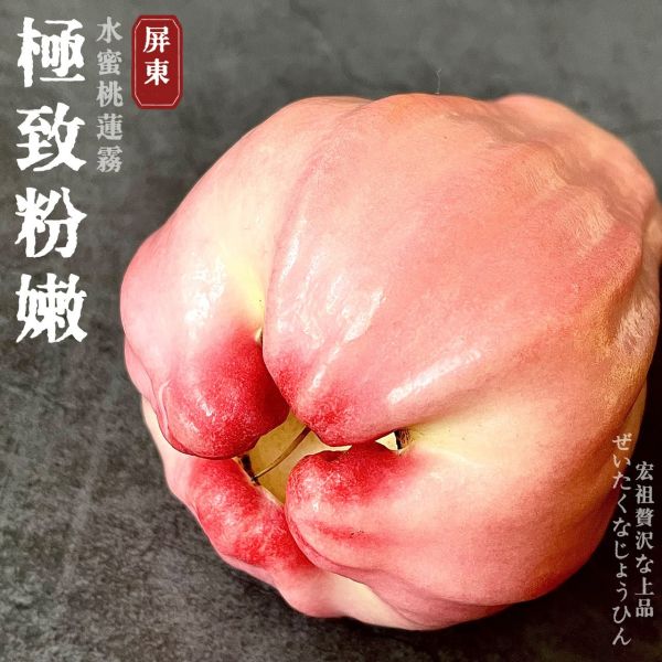 水蜜桃蓮霧｜春之桃｜夢幻粉色 水蜜桃蓮霧｜春之桃｜夢幻粉色