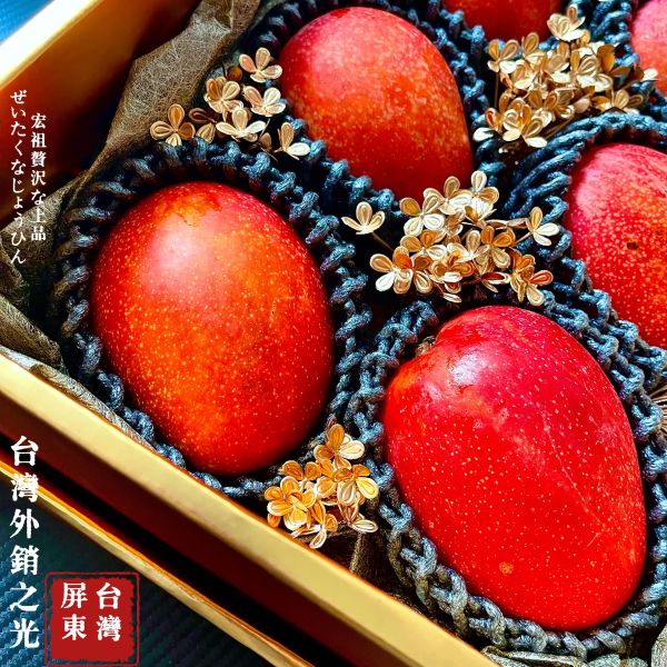 台灣愛文芒果｜外銷之光｜出口限定 愛文芒果 外銷級 台灣之光