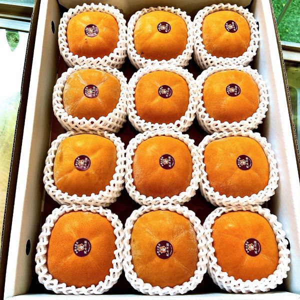 地表最強｜黑糖甜柿｜話題神器 地表最強｜黑糖甜柿｜話題神器