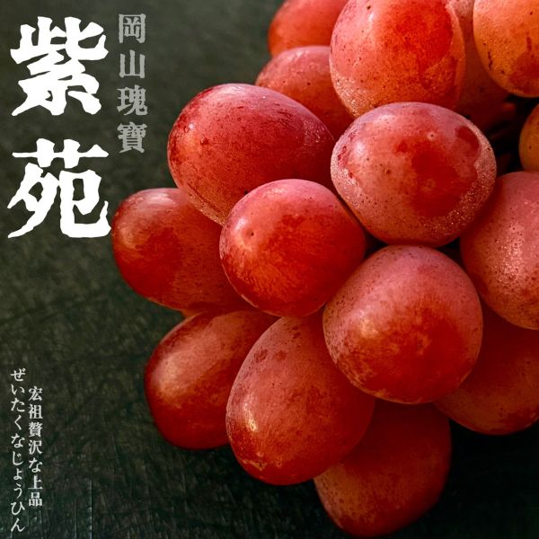 岡山瑰寶｜紫苑葡萄｜冬季限定 岡山瑰寶｜紫苑葡萄｜冬季限定