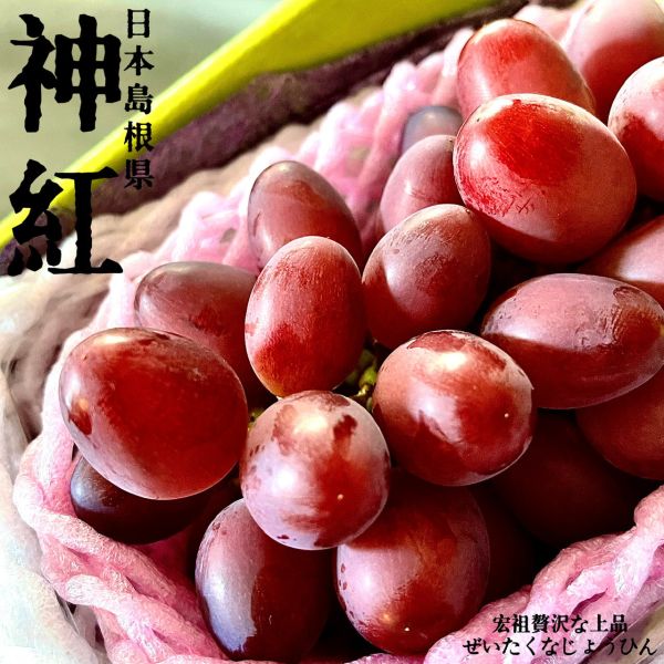 島根県｜神紅麝香｜伯爵茶香 島根県｜神紅麝香｜伯爵茶香