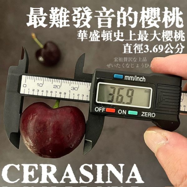 Cerasina|史上最大的櫻桃｜空運華盛頓 Cerasina|史上最大的櫻桃｜空運華盛頓
