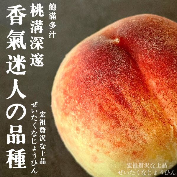 日本山梨溫室｜日川白鳳桃 日川白鳳桃｜日本山梨溫室水蜜桃