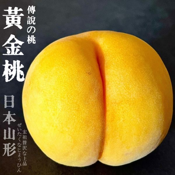 日本山形｜黃金水蜜桃｜黃金傳說 日本山形｜黃金水蜜桃｜黃金傳說