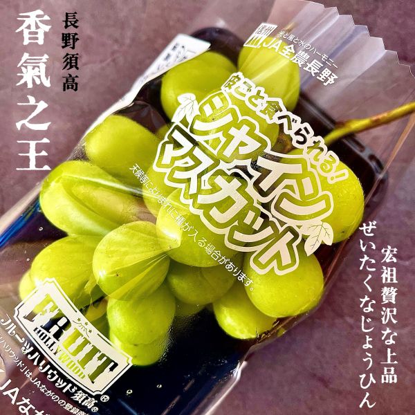 日本長野-麝香葡萄（PE盒） 長野麝香葡萄、麝香葡萄特點、選購麝香葡萄、新鮮葡萄食譜、2024年水果推薦、葡萄健康益處、栽培技巧、美味水果、葡萄品種介紹、葡萄營養價值、家庭聚餐水果、網上購買葡萄、葡萄市場趨勢。