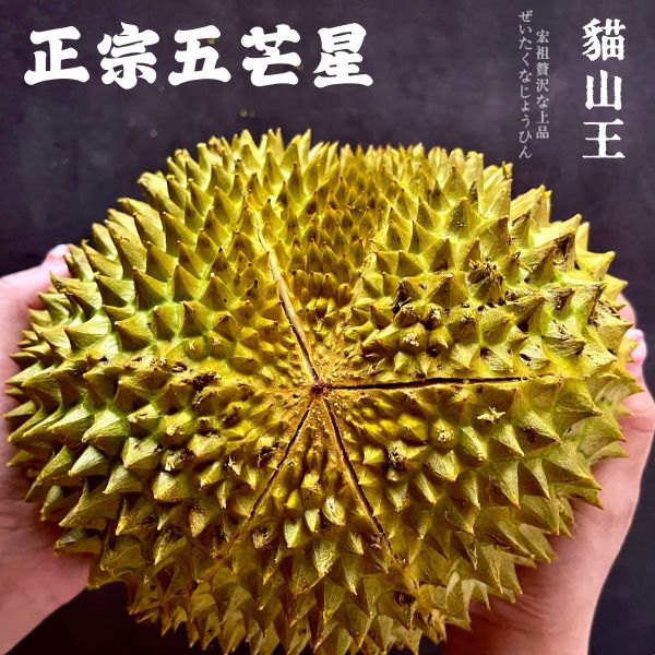 榴蓮王者｜貓山王｜正宗五芒星 榴蓮王者｜貓山王｜東南亞國寶｜地獄水果