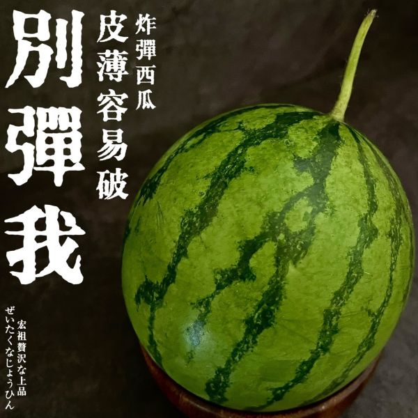超迷你炸彈西瓜｜話題神器 🏆超迷你炸彈西瓜｜話題神器