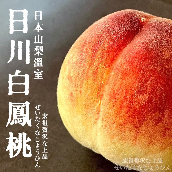 日本山梨溫室｜日川白鳳桃 日川白鳳桃｜日本山梨溫室水蜜桃