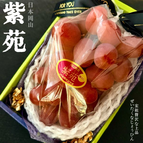 岡山瑰寶｜紫苑葡萄｜冬季限定 岡山瑰寶｜紫苑葡萄｜冬季限定