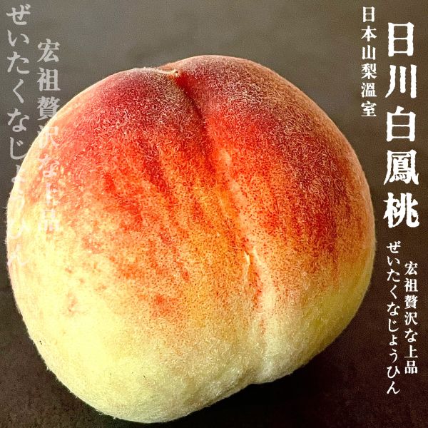 日本山梨溫室｜日川白鳳桃 日川白鳳桃｜日本山梨溫室水蜜桃