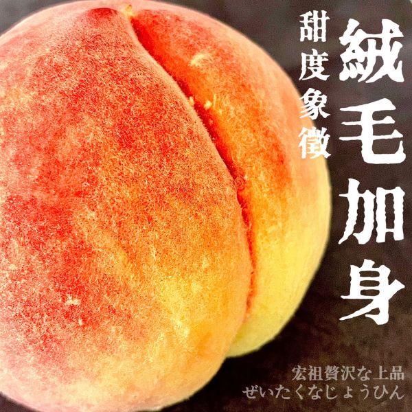 山梨縣｜春日居｜終末王者 山梨縣｜春日居｜終末王者