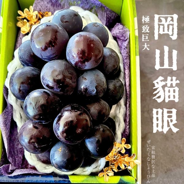日本-岡山貓眼葡萄 宏祖水果,岡山貓眼葡萄, 日本貓眼葡萄, 健康水果, 葡萄營養, 抗氧化劑, 水果特產, 美味葡萄, 葡萄種植技術