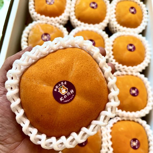 地表最強｜黑糖甜柿｜話題神器 地表最強｜黑糖甜柿｜話題神器