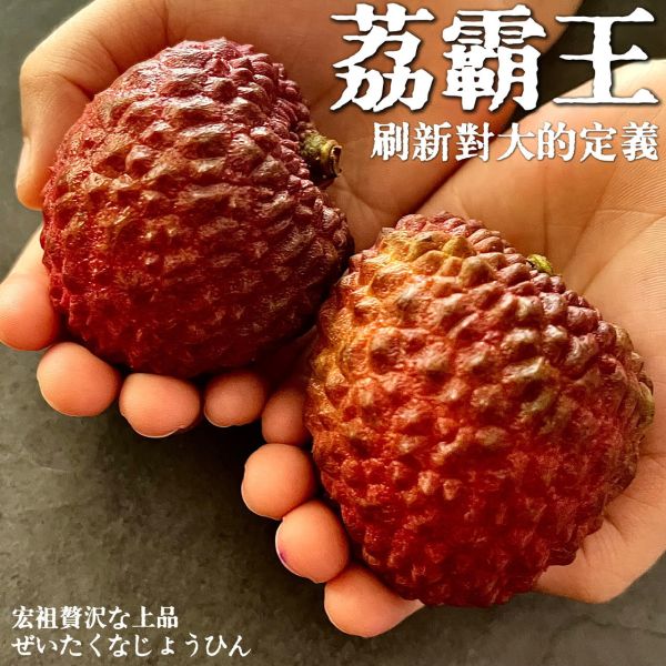 荔霸王｜Premium 25 荔霸王｜Premium25｜巨無霸荔枝