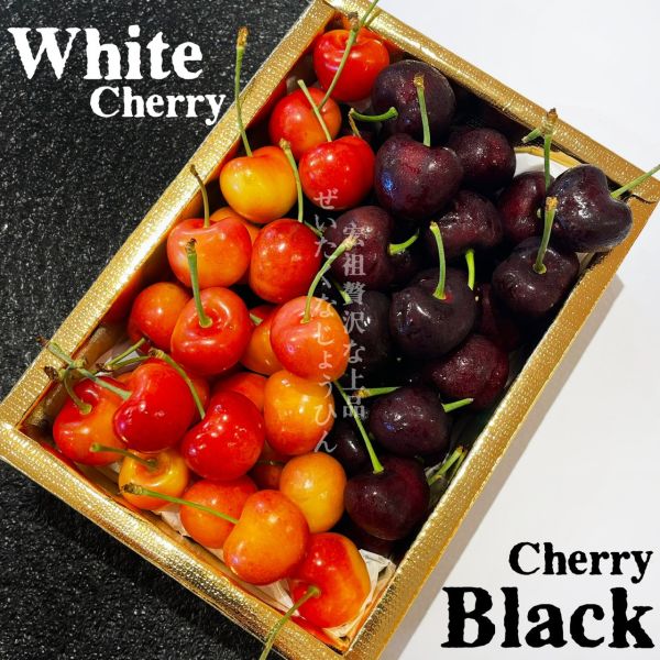 空運櫻桃季|稀有櫻桃|黃金黑白櫻桃 空運櫻桃季|稀有櫻桃|黃金黑白櫻桃
