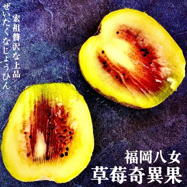 期間限定｜草莓奇異果| 話題神奇 期間限定｜草莓奇異果| 話題神奇