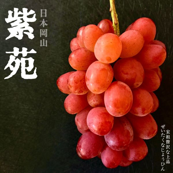 岡山瑰寶｜紫苑葡萄｜冬季限定 岡山瑰寶｜紫苑葡萄｜冬季限定