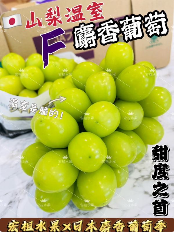日本-溫室山梨F麝香葡萄 