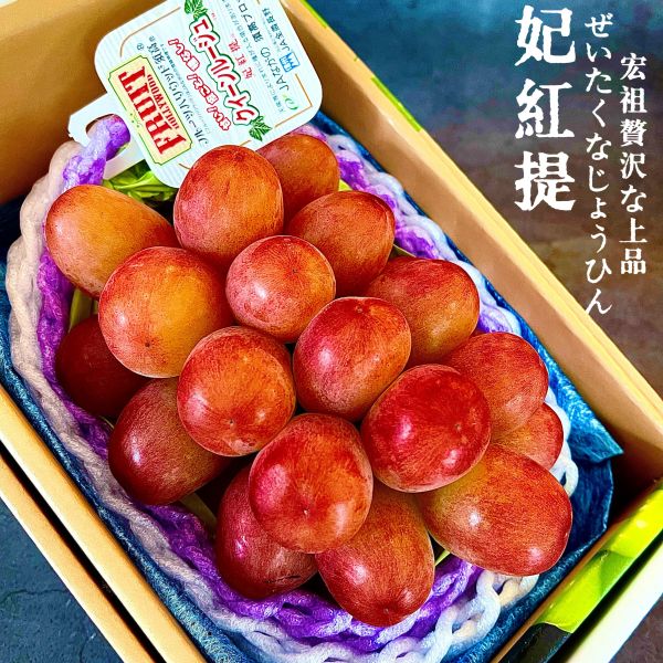 日本長野-妃紅提 宏祖水果日本長野妃紅提葡萄