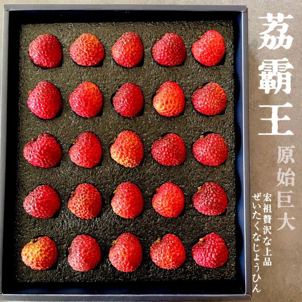 荔霸王｜Premium 25 荔霸王｜Premium25｜巨無霸荔枝