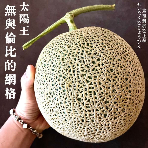 太陽王｜慶尚北道｜哈密瓜阿露絲 太陽王｜慶尚北道｜哈密瓜阿露絲
宏祖水果禮盒｜暢銷禮盒｜精選禮盒｜客製化禮盒