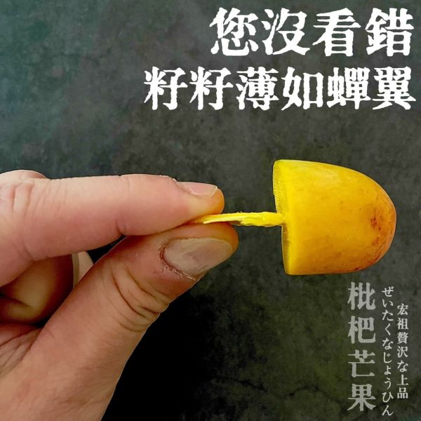 超迷你琵琶芒果｜話題神器 超迷你枇杷芒果｜話題神器