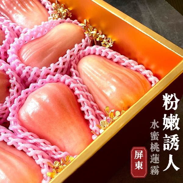 水蜜桃蓮霧｜春之桃｜夢幻粉色 水蜜桃蓮霧｜春之桃｜夢幻粉色