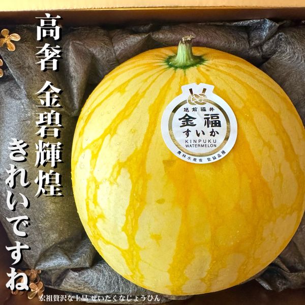 日本福井｜金福西瓜｜黃金西瓜 日本金福西瓜｜甜過初戀的極品限定
日本福井｜金福西瓜｜黃金西瓜