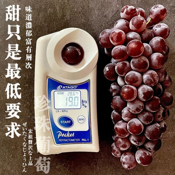 日本山梨｜溫室珍珠葡萄 日本山梨｜溫室珍珠葡萄