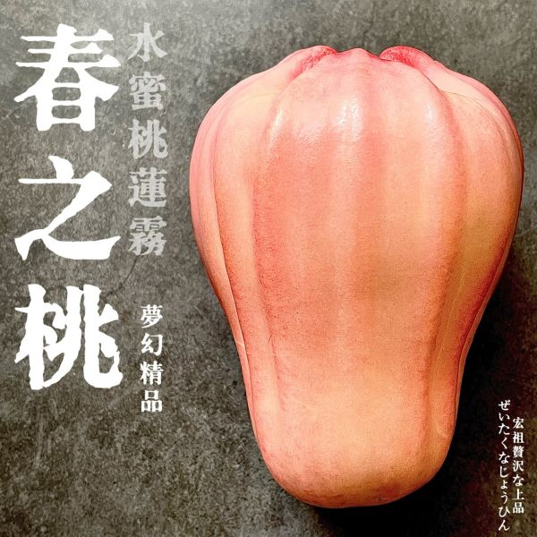 水蜜桃蓮霧｜春之桃｜夢幻粉色 水蜜桃蓮霧｜春之桃｜夢幻粉色