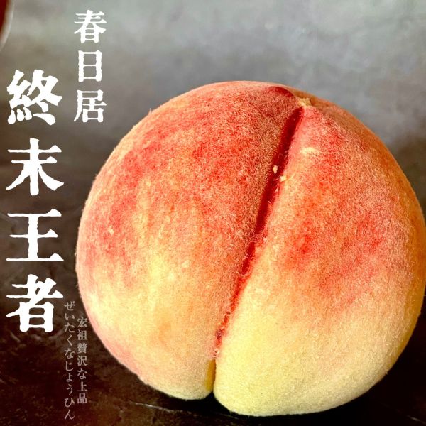 山梨縣｜春日居｜終末王者 山梨縣｜春日居｜終末王者