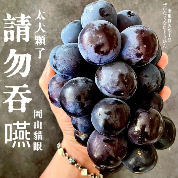 日本-岡山貓眼葡萄 宏祖水果,岡山貓眼葡萄, 日本貓眼葡萄, 健康水果, 葡萄營養, 抗氧化劑, 水果特產, 美味葡萄, 葡萄種植技術