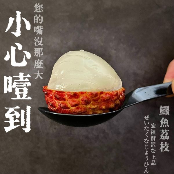鱷魚荔枝｜此生必吃｜史上最大 鱷魚荔枝｜此生必吃｜史上最大