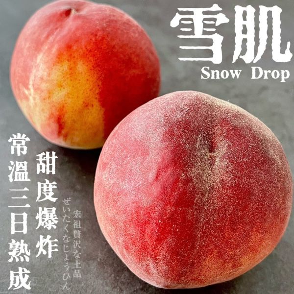 SNOW DROP｜雪肌水蜜桃 