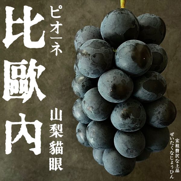 山梨貓眼｜比歐內｜重口味 山梨貓眼｜比歐內｜重口味