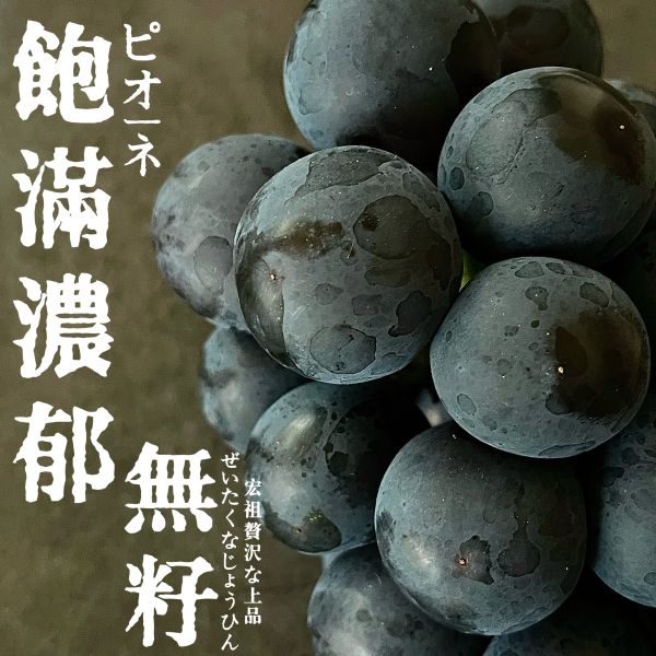 山梨貓眼｜比歐內｜重口味 山梨貓眼｜比歐內｜重口味