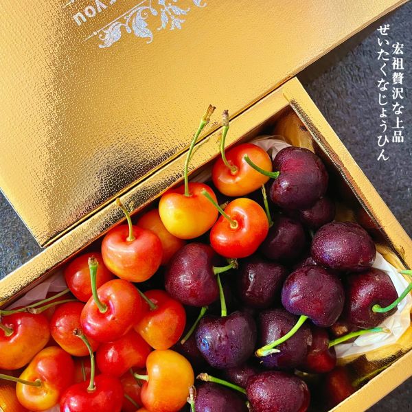 空運櫻桃季|稀有櫻桃|黃金黑白櫻桃 空運櫻桃季|稀有櫻桃|黃金黑白櫻桃