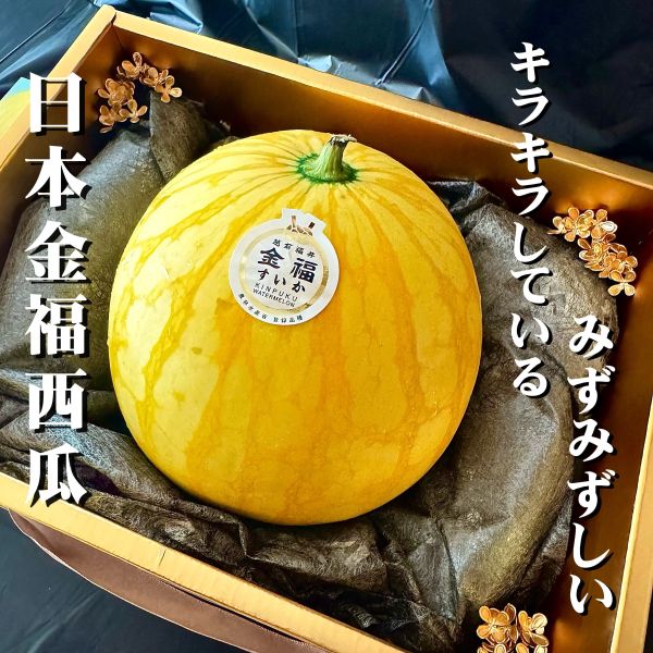 日本福井｜金福西瓜｜黃金西瓜 日本金福西瓜｜甜過初戀的極品限定
日本福井｜金福西瓜｜黃金西瓜