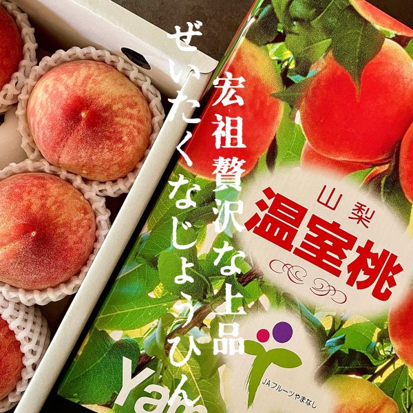 日本山梨溫室｜日川白鳳桃 日川白鳳桃｜日本山梨溫室水蜜桃