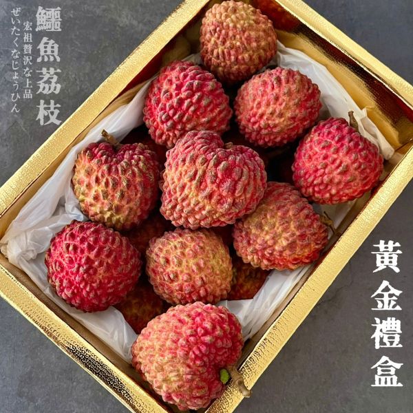 鱷魚荔枝｜此生必吃｜史上最大 鱷魚荔枝｜此生必吃｜史上最大