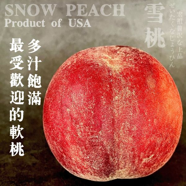 Snow Peach｜夢幻雪桃｜美國軟桃代表作 Snow Peach｜夢幻雪桃｜美國軟桃代表作