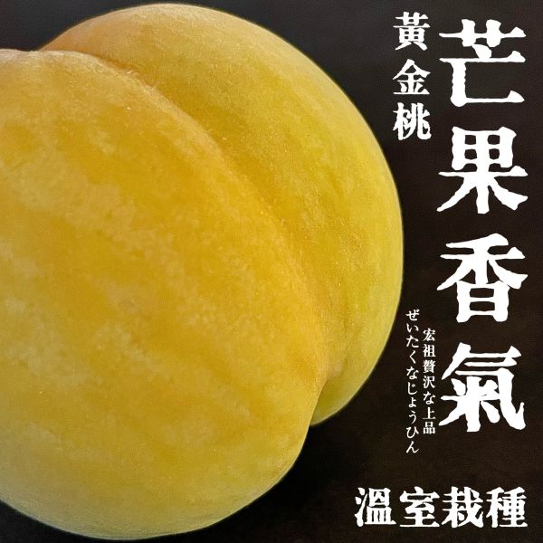 山梨一桃匠｜溫室黃金桃｜芒果香氣 山梨一桃匠｜溫室黃金桃｜芒果香氣