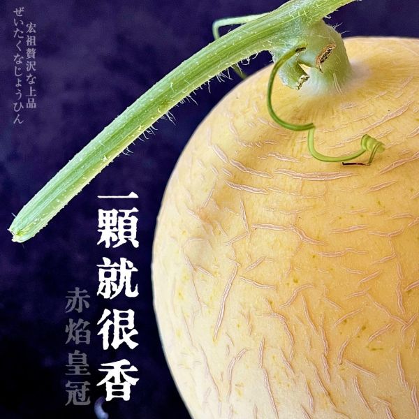 台灣契作｜赤焰皇冠 