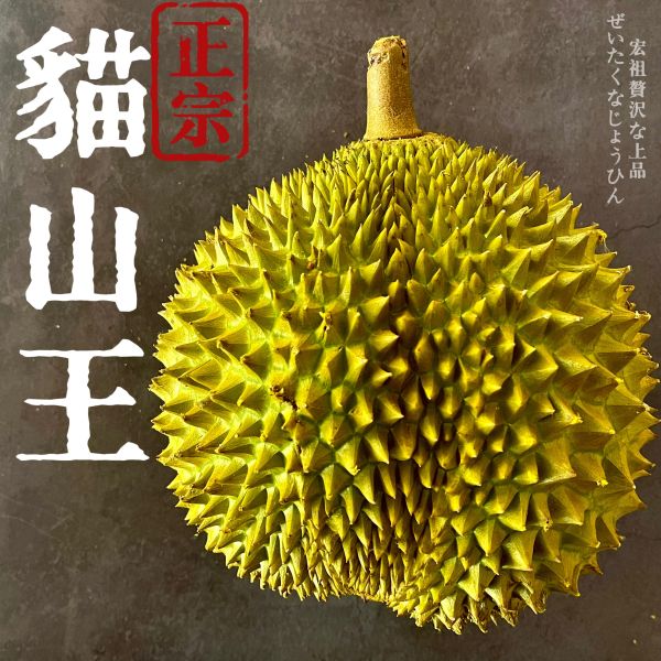 榴蓮王者｜貓山王｜正宗五芒星 榴蓮王者｜貓山王｜東南亞國寶｜地獄水果